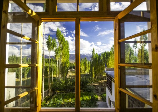 Wood Window Replacement in Royse City